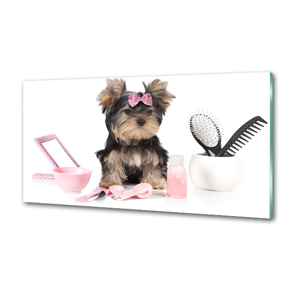 Panel antisalpicaduras Cosméticos de Yorkshire