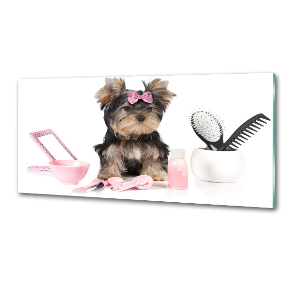 Panel antisalpicaduras Cosméticos de Yorkshire