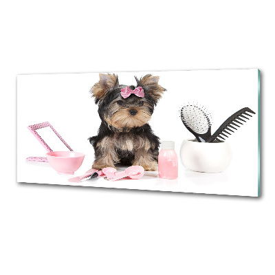 Panel antisalpicaduras Cosméticos de Yorkshire