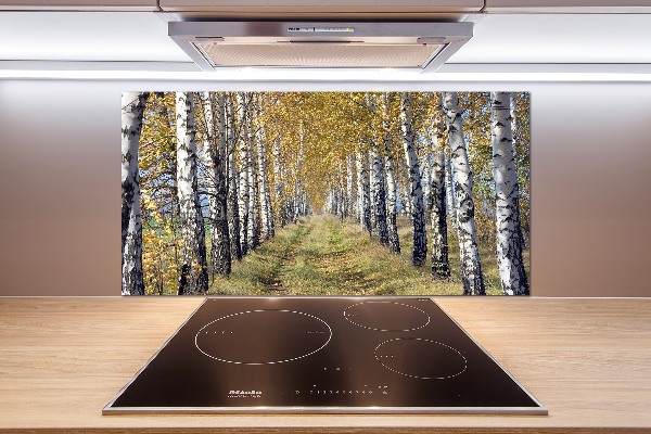 Panel de pared de cocina Abedules en otoño