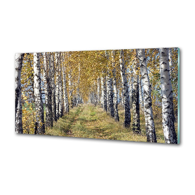 Panel de pared de cocina Abedules en otoño