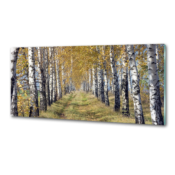 Panel de pared de cocina Abedules en otoño