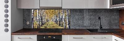 Panel de pared de cocina Abedules en otoño