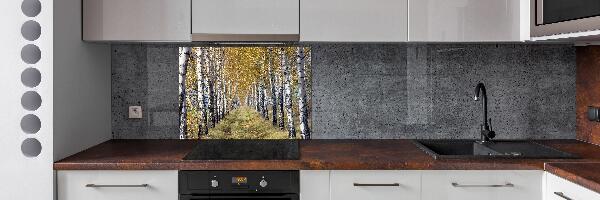Panel de pared de cocina Abedules en otoño
