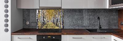 Panel de pared de cocina Abedules en otoño