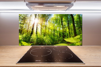 Panel antisalpicaduras Bosque al sol