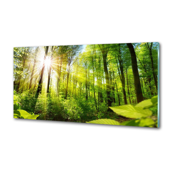 Panel antisalpicaduras Bosque al sol