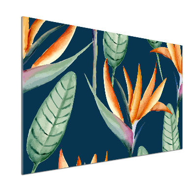 Panel antisalpicaduras Strelitzia reginae