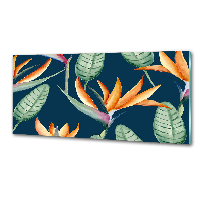 Panel antisalpicaduras Strelitzia reginae