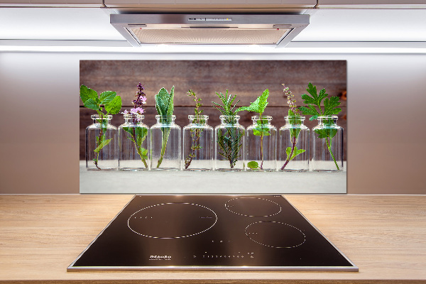 Panel para cocina Plantas en frascos
