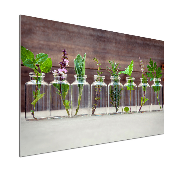 Panel para cocina Plantas en frascos