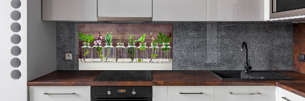 Panel para cocina Plantas en frascos