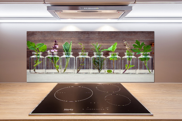 Panel para cocina Plantas en frascos