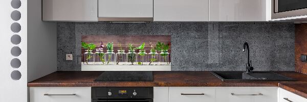 Panel para cocina Plantas en frascos