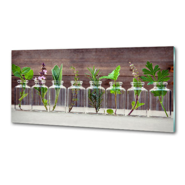 Panel para cocina Plantas en frascos