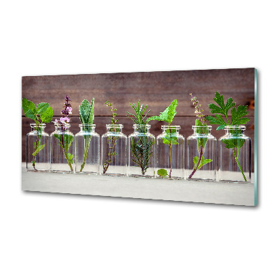 Panel para cocina Plantas en frascos