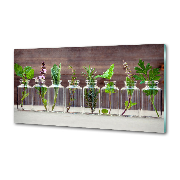 Panel para cocina Plantas en frascos
