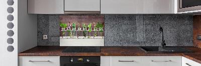 Panel para cocina Plantas en frascos