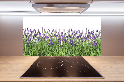 Panel para cocina flores de lavanda