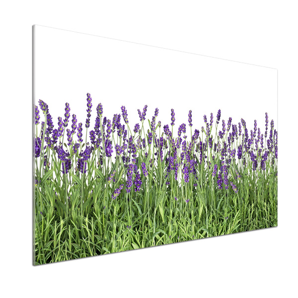 Panel para cocina flores de lavanda