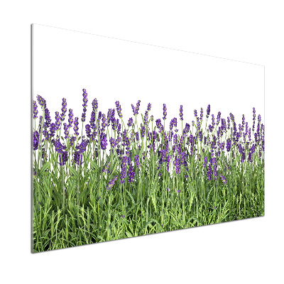 Panel para cocina flores de lavanda