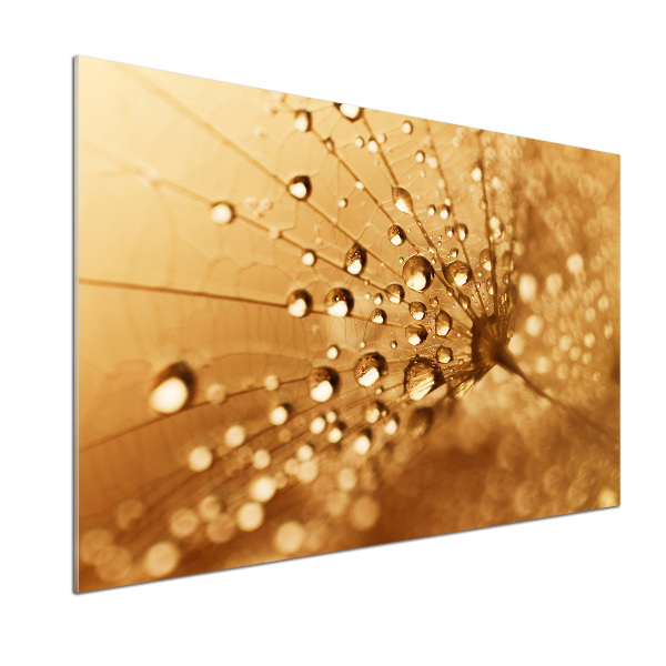 Salpicadero para cocina Diente de león