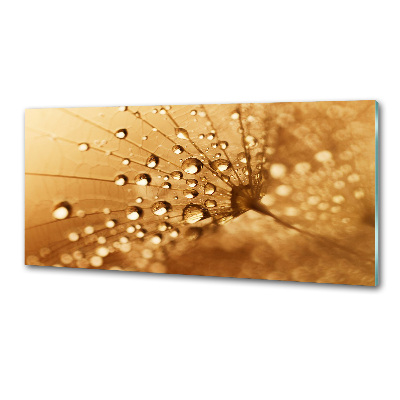 Salpicadero para cocina Diente de león