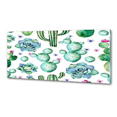 Panel de pared de cocina Cactus