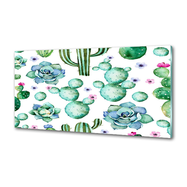 Panel de pared de cocina Cactus