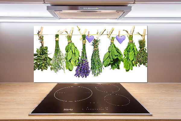 Panel de pared de cocina Hierbas en una cuerda
