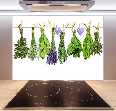Panel de pared de cocina Hierbas en una cuerda