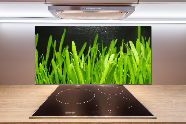 Panel antisalpicaduras Césped