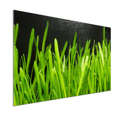 Panel antisalpicaduras Césped