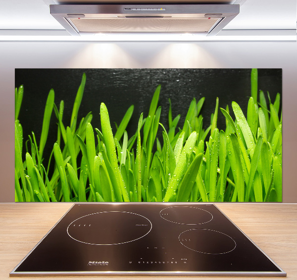 Panel antisalpicaduras Césped