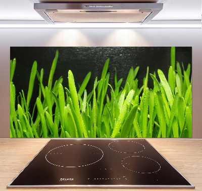 Panel antisalpicaduras Césped