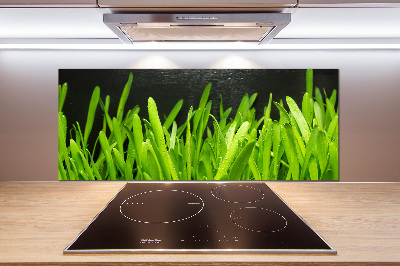 Panel antisalpicaduras Césped