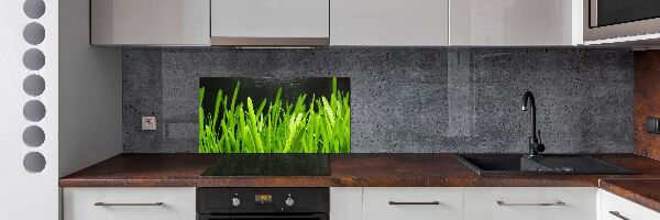 Panel antisalpicaduras Césped