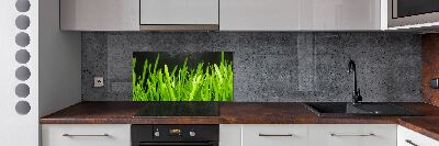 Panel antisalpicaduras Césped