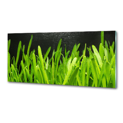 Panel antisalpicaduras Césped