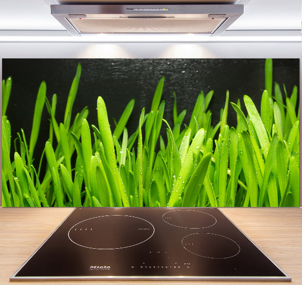 Panel antisalpicaduras Césped