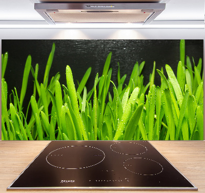 Panel antisalpicaduras Césped