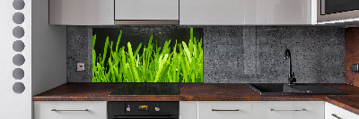 Panel antisalpicaduras Césped