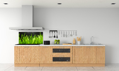 Panel antisalpicaduras Césped