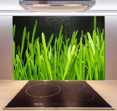 Panel antisalpicaduras Césped