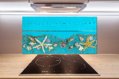 Panel de pared de cocina Estrellas de mar y conchas