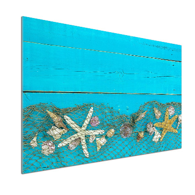 Panel de pared de cocina Estrellas de mar y conchas