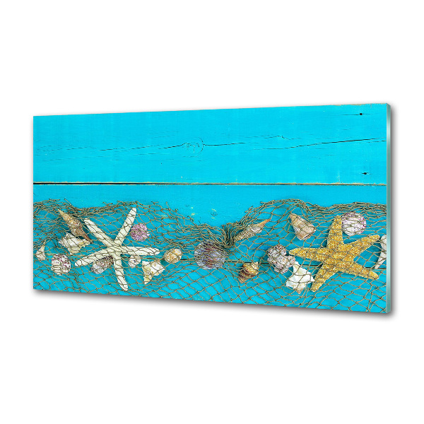 Panel de pared de cocina Estrellas de mar y conchas