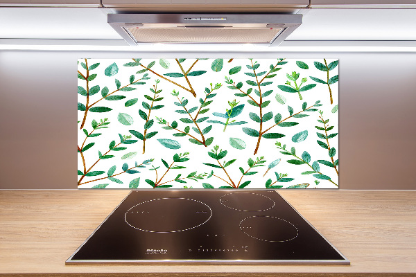 Panel de pared de cocina Eucalipto