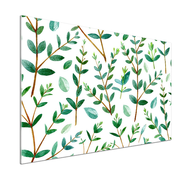 Panel de pared de cocina Eucalipto