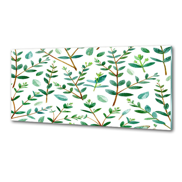 Panel de pared de cocina Eucalipto